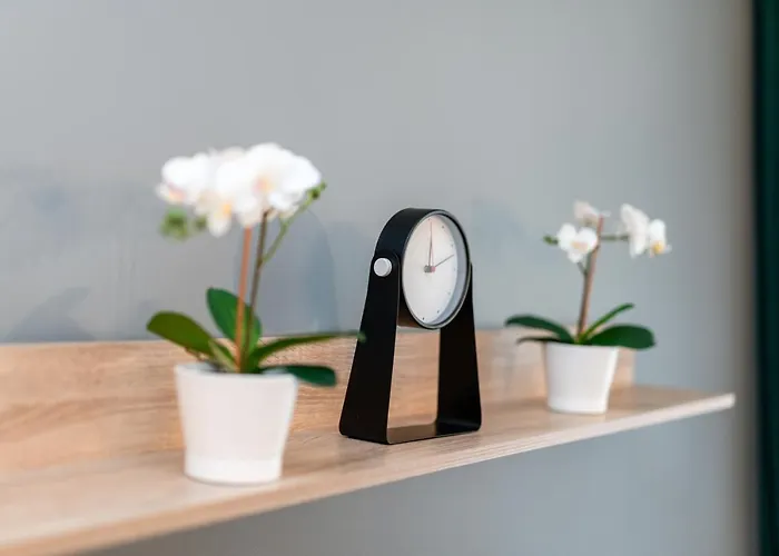 Deluxe Old Town By Renters *